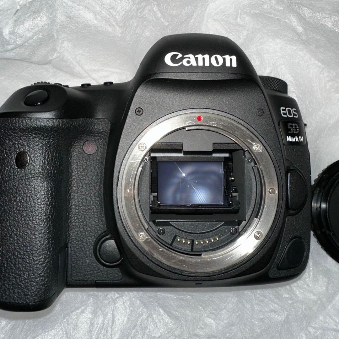 Canon EOS 5D Mark IV ボディ　おまけ予備バッテリーCFカード