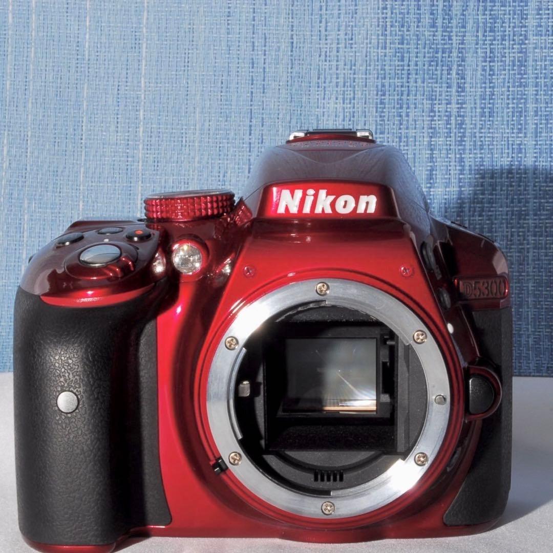 ✨Wi-Fi搭載モデル！レアカラー✨レッド✨D5300Ｗレンズキット✨