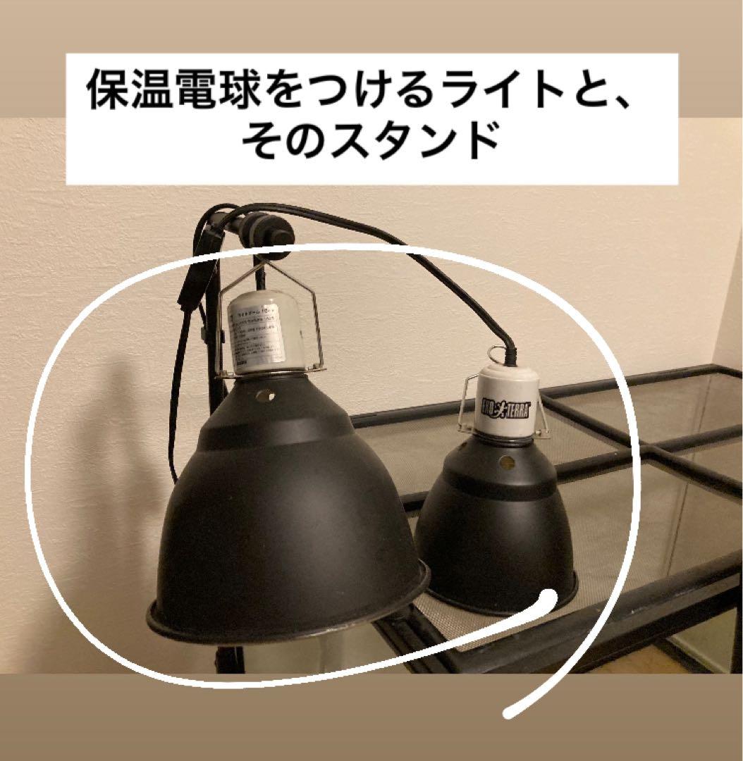 【だいすけ様】爬虫類飼育セット 90x45x60グラステラリウム 爬虫類ケージ