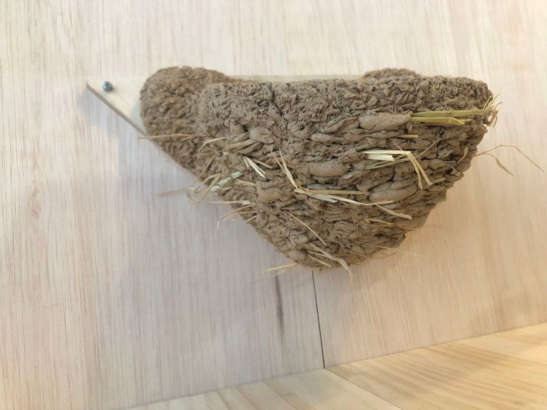 ツバメの人工巣　壁付け用タイプ板貼り付き　新品・未使用品　26-B-5