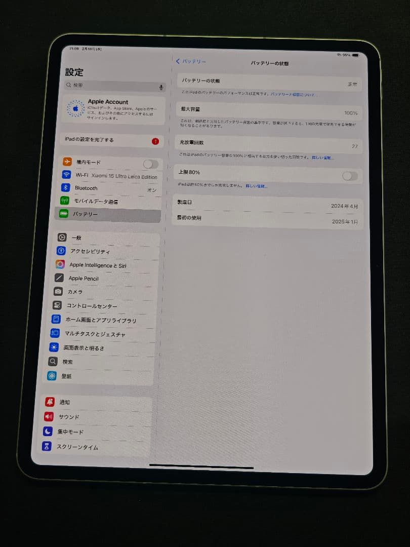 Apple 13インチ iPad Pro (M4) セルラー256GB おまけ付