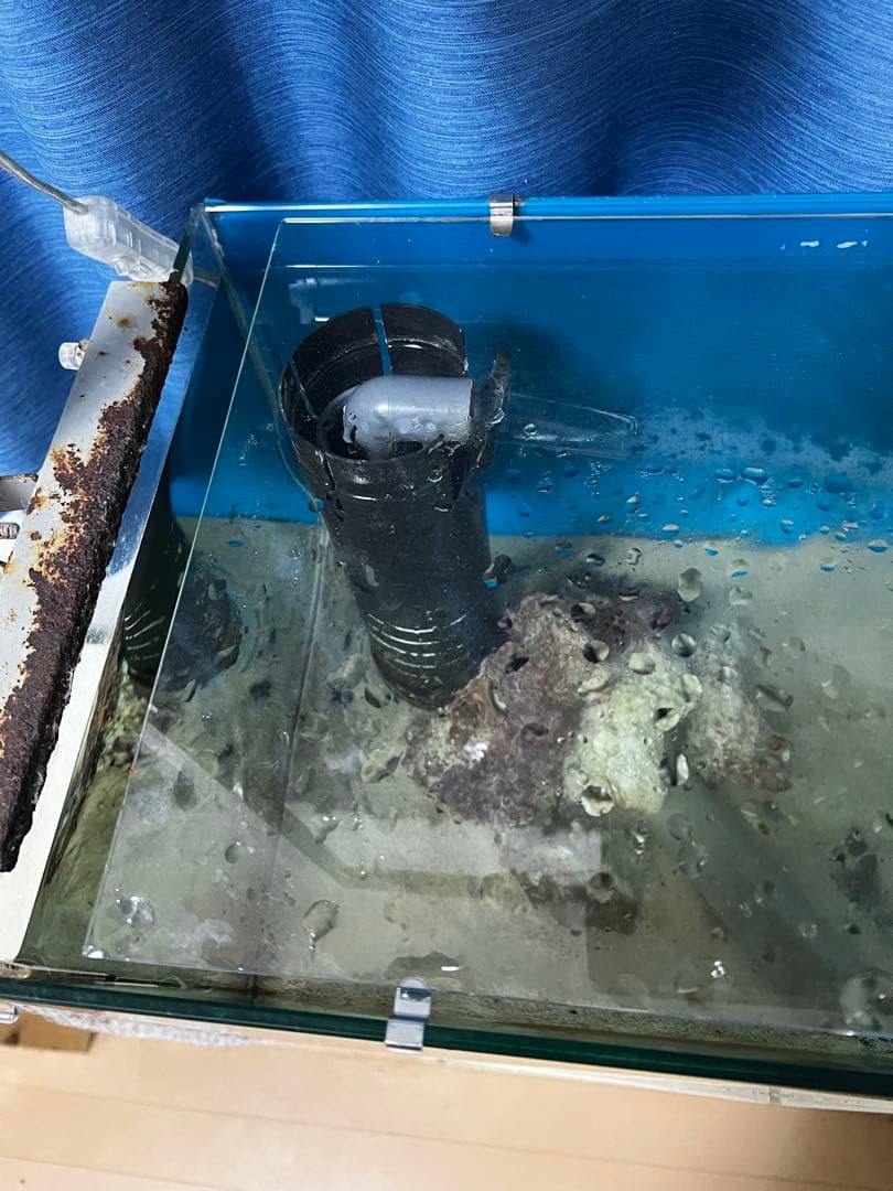 【千葉県】60cm オーバーフロー水槽 一式