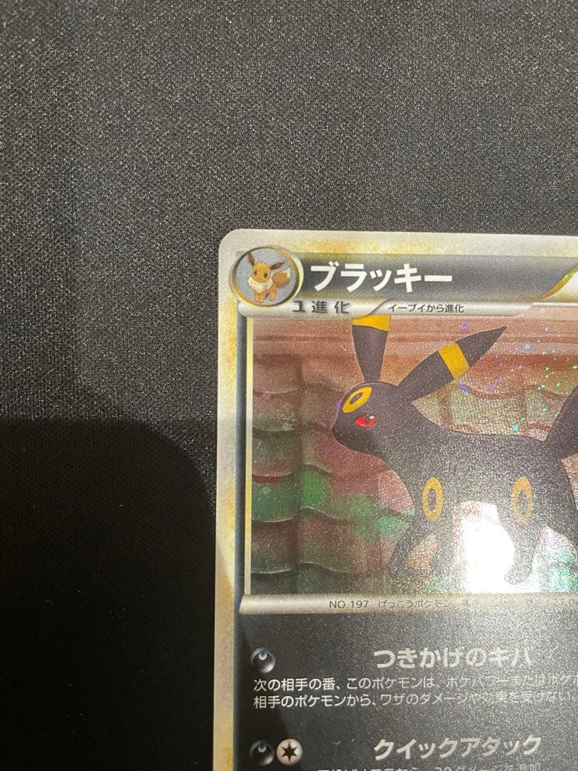 ブラッキー　よみがえる伝説