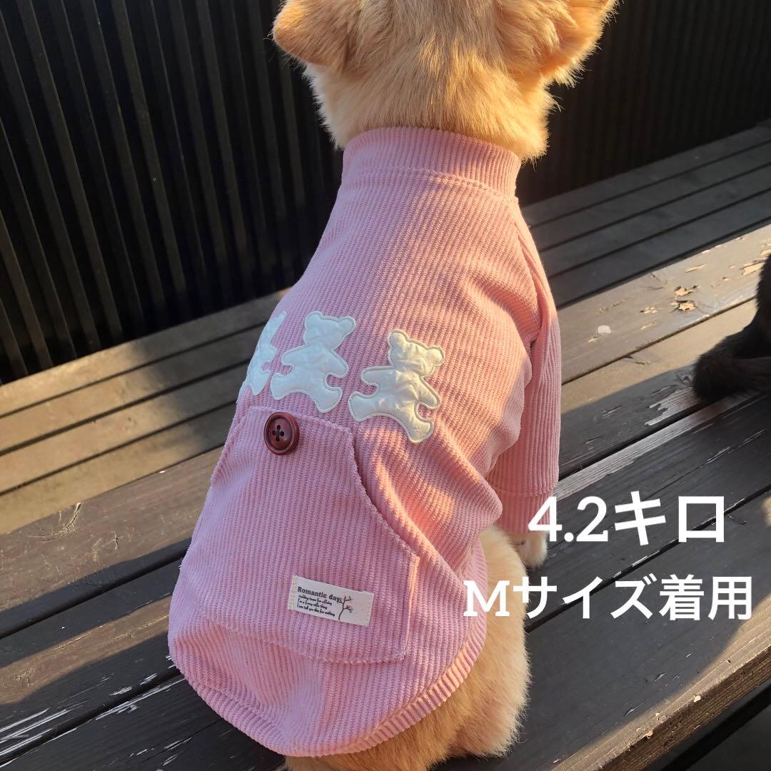 ハンドメイド　ラグランロンT　オーダー小型犬