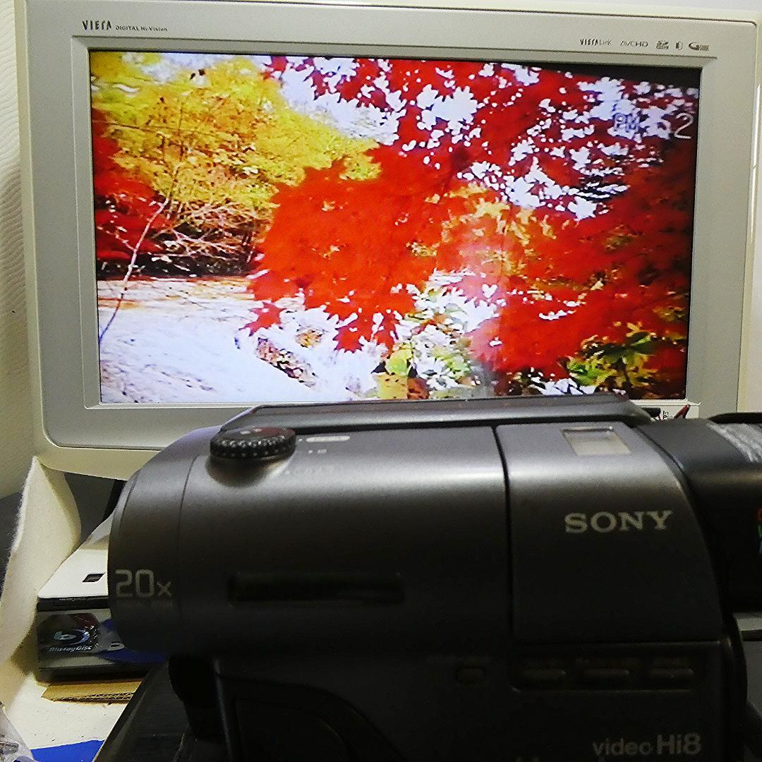 ソニーCCD-TR11【動作良好】VideoHi8 ビデオカメラ　ダビングに最適