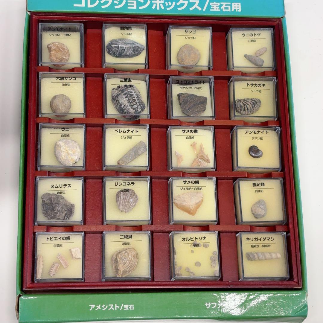 デアゴスティーニ 天然石 化石 大量まとめ売り 宝石 鉱物 標本 三葉虫