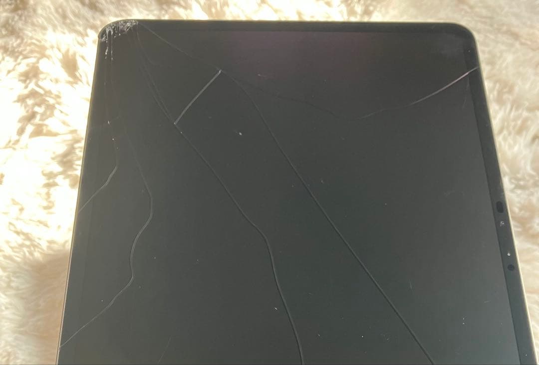 【早い者勝ち】iPad Pro 13インチ1TB 【すぐ発送】
