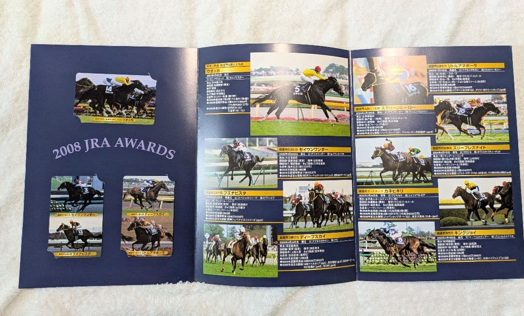 ウォッカ競馬　2008 JRA AWARDS 冊子