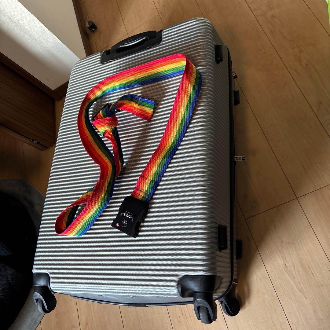 中型シルバーキャリーケース