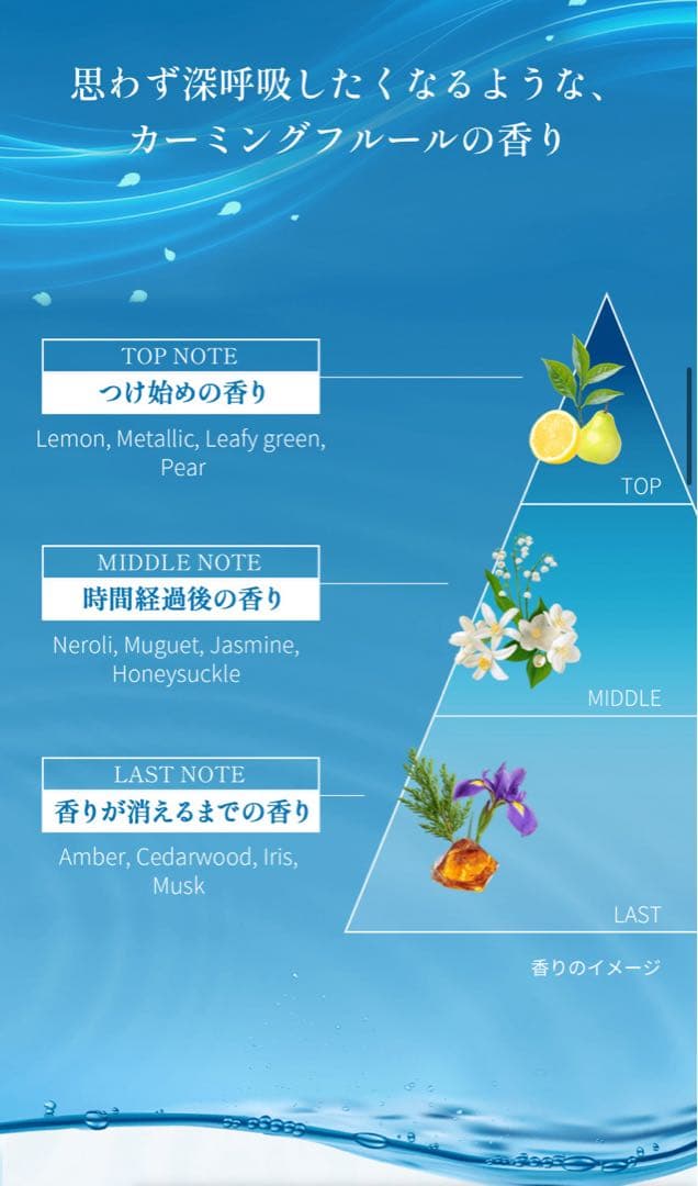 ブルーミオ 化粧水145mL＆乳液25g ×２ ロート製薬