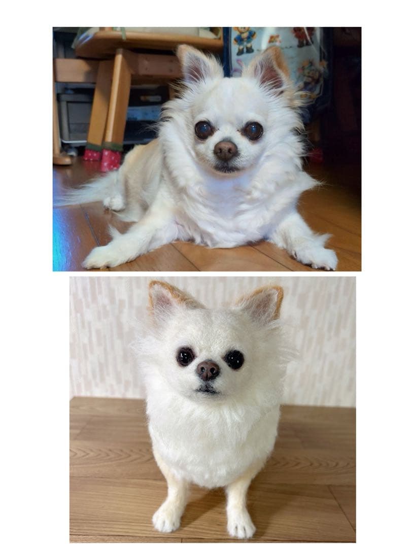チャッピー様　オーダー専用　羊毛フェルト　犬　羊毛フェルトチワワ