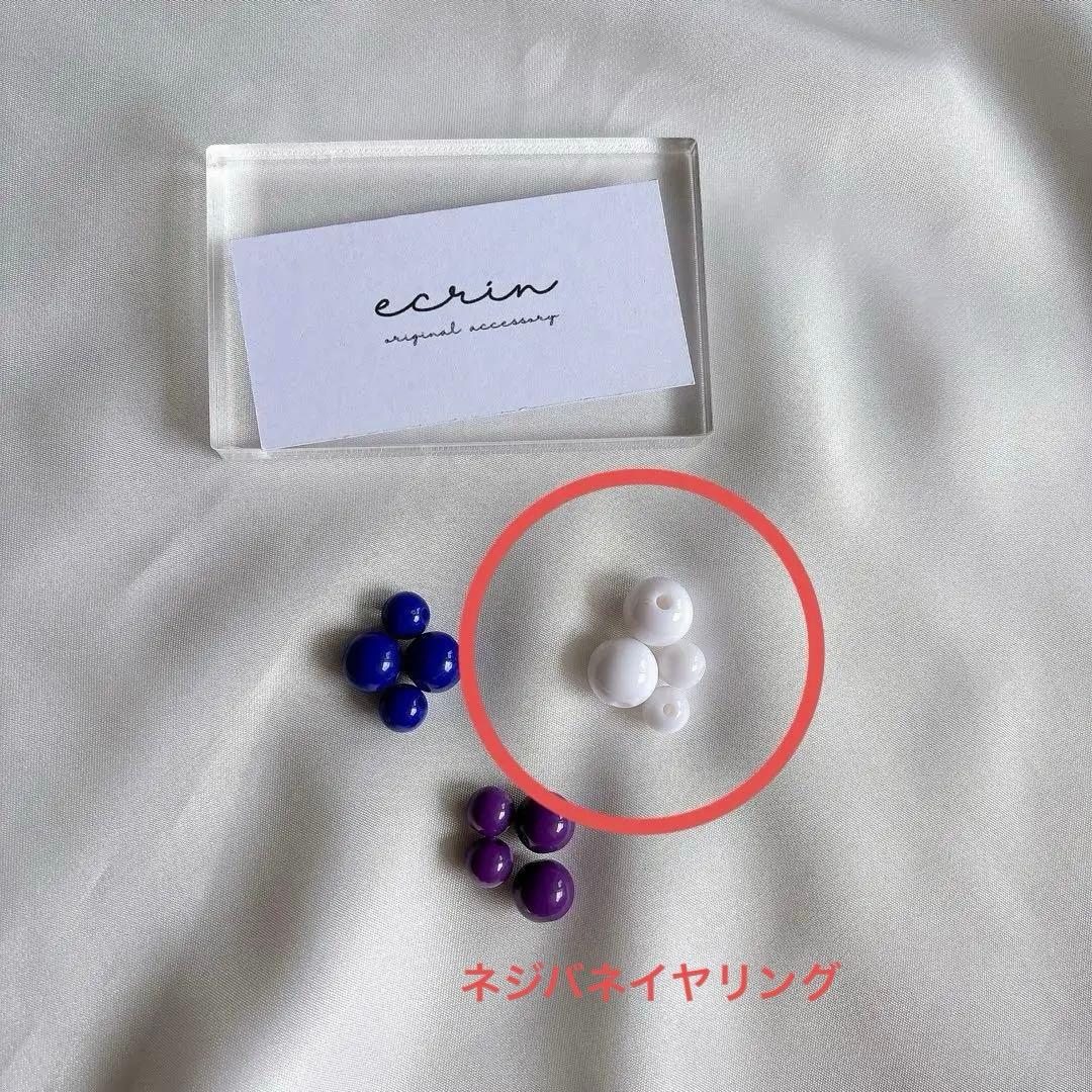 ピピandシェリー様♡専用ページ〔ネジバネイヤリング・ピアス 〕