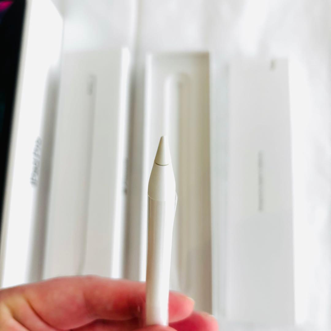 iPad Pro (第4世代) スペースグレー + Apple Pencil