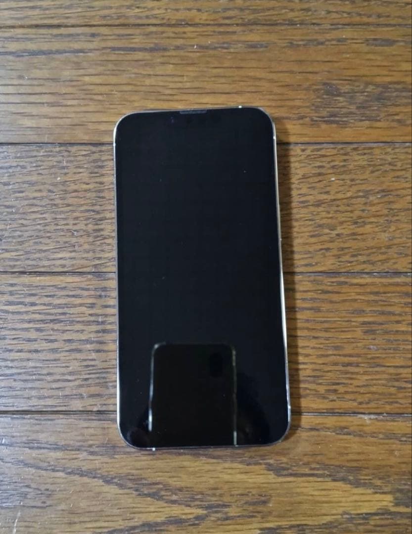Apple iPhone 13 Pro シルバー