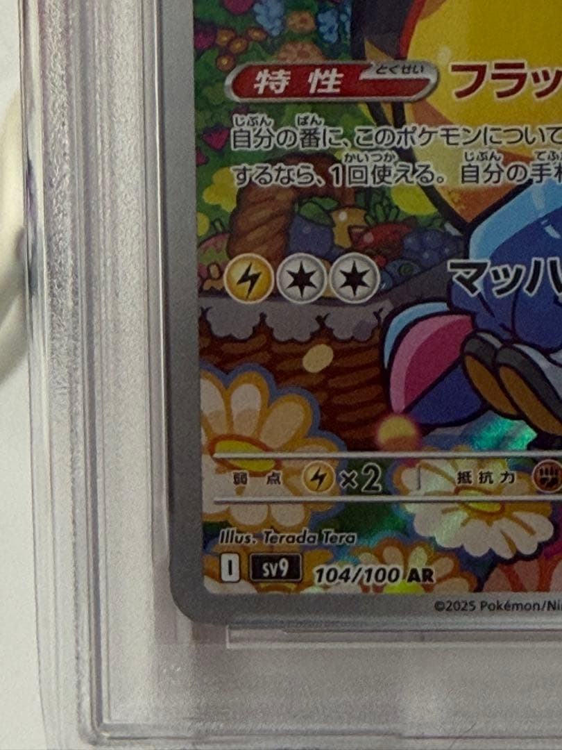 ナンジャモのタイカイデンAR psa10
