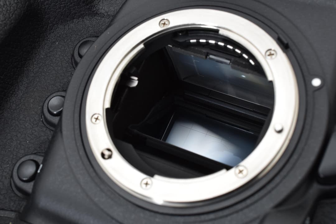 ■極上品■ ニコン D5 XQD-Type #C742