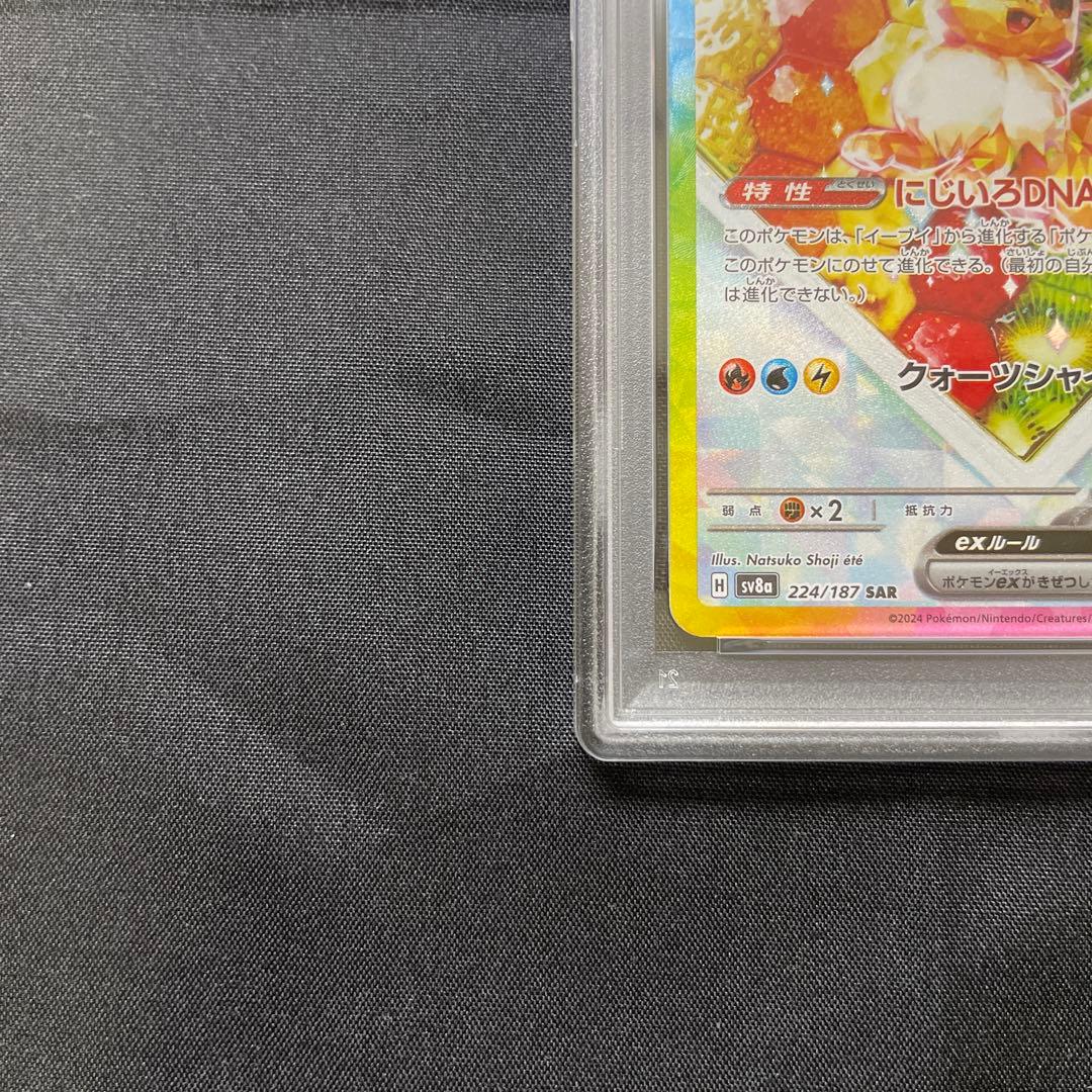PSA10イーブイex SAR テラスタルフェスex 223/187