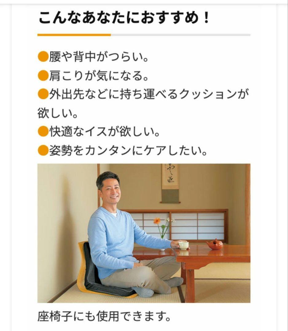 pinto 腰らくII ピントプレミアム 　２大健康ブランド共同企画限定モデル