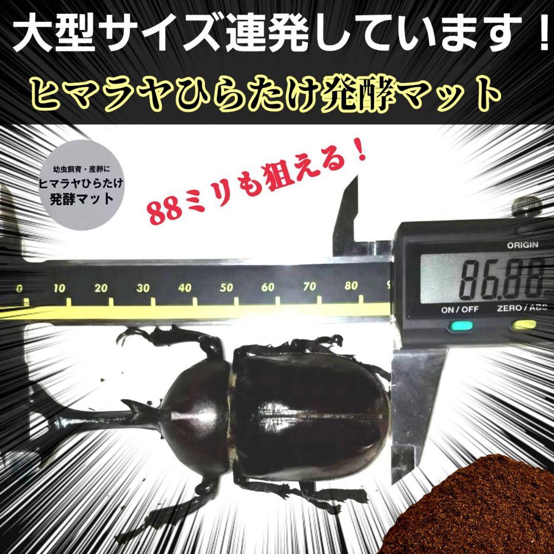 国産カブトムシ８８ミリ羽化実績多数！ネット売上1位！発酵マット【360リットル】