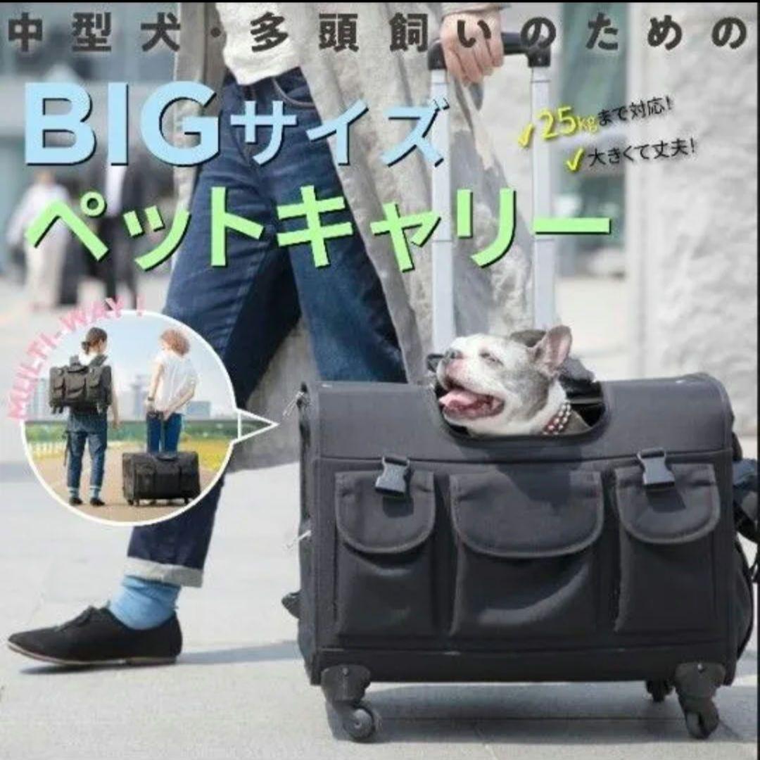 TAKE ME XLサイズ　ペット用キャリーバッグ　中型犬・多頭飼いリュック