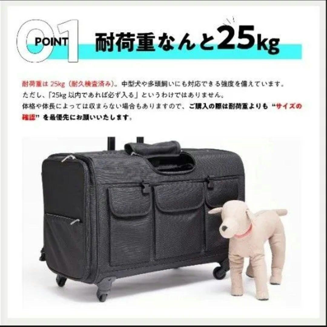 TAKE ME XLサイズ　ペット用キャリーバッグ　中型犬・多頭飼いリュック
