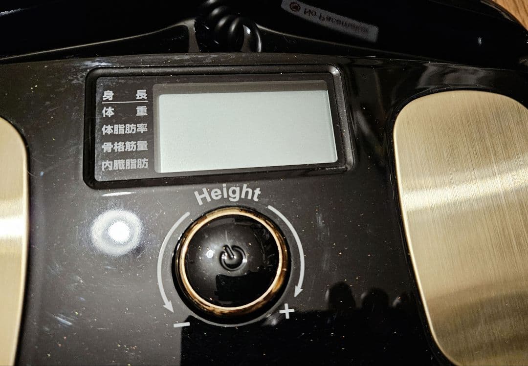 InBody DIAL H20 体脂肪計・体組成計 黒色 箱付き