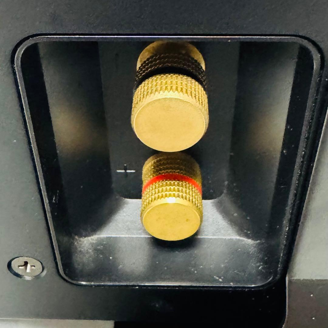 Pioneer センタースピーカー S-LX70C パイオニア