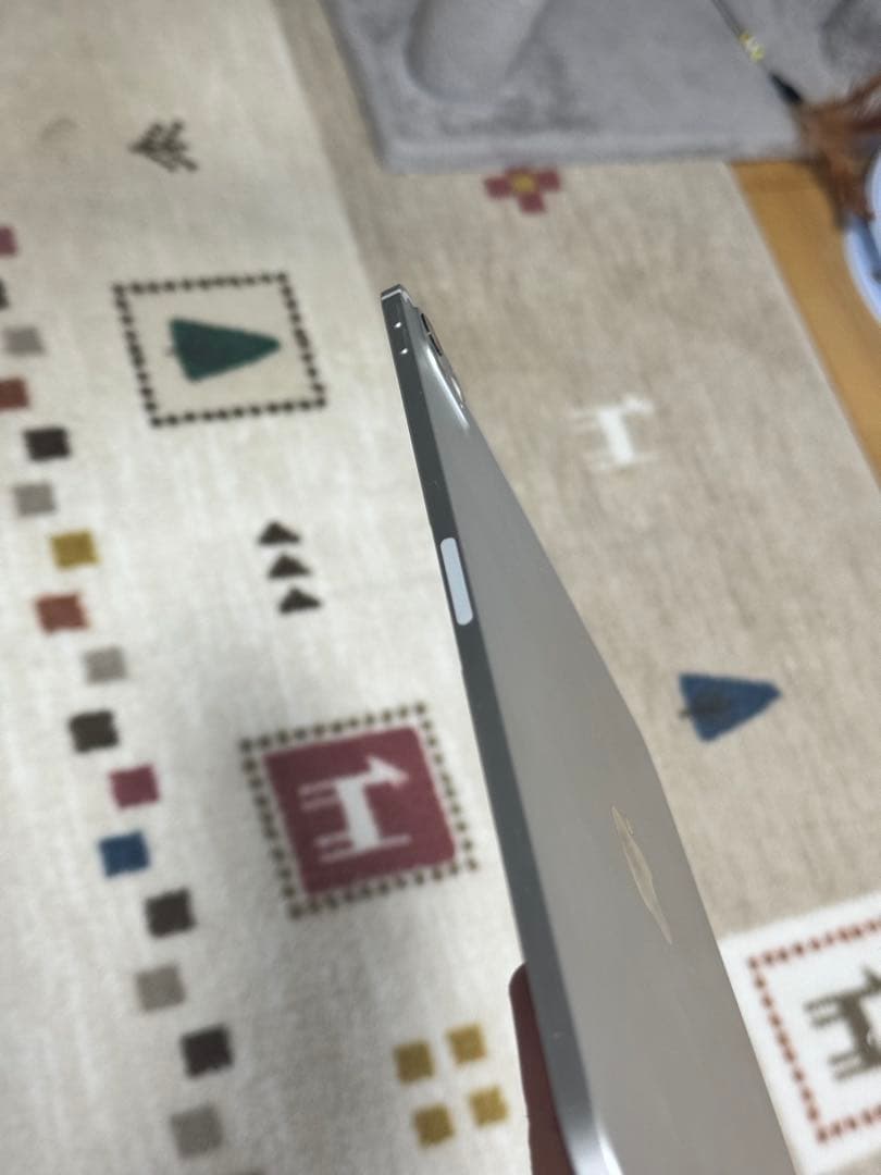 Apple iPad Pro 11 M4 + Pencil Proシルバー 本体