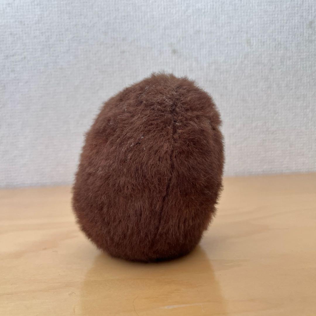 光線 CO-SEN ✴︎ Kiwi ✴︎ ぬいぐるみ
