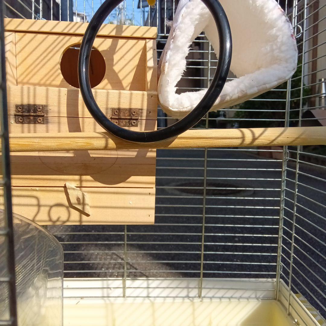 ミントのくちばしHOEI鳥かごと玩具付き