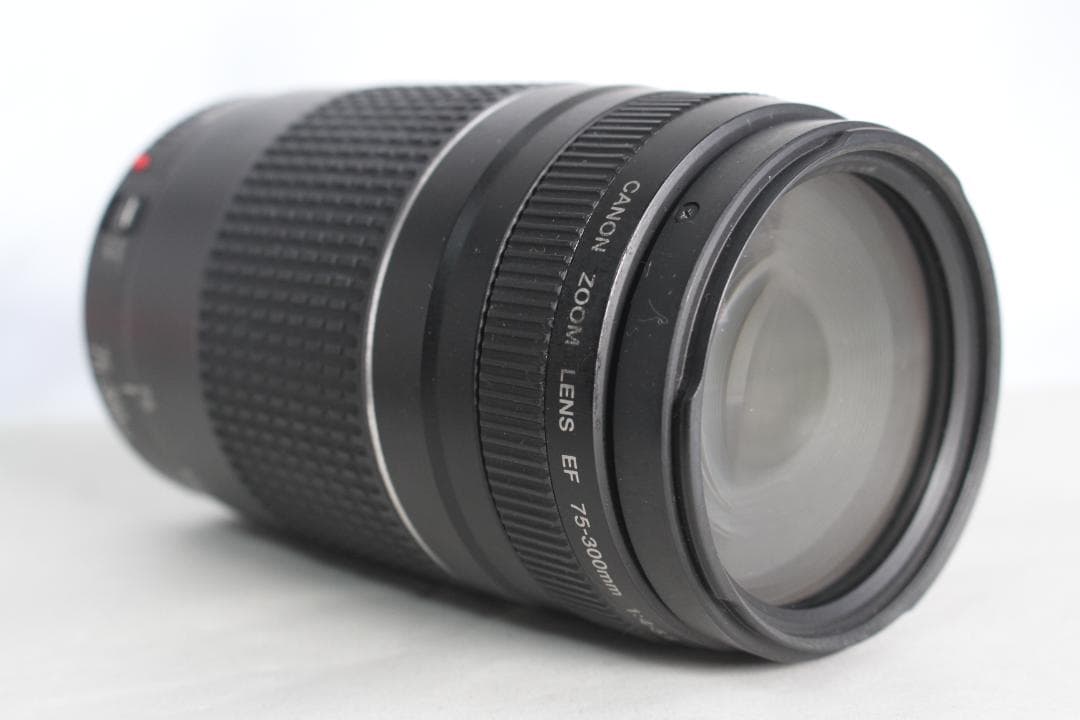 Canon キヤノン EF 75-300mm F4-5.6 III