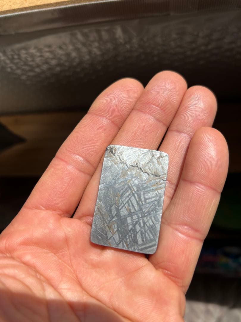 ムオニオナルスタ隕石のスライス標本、31.29g。隕石。
