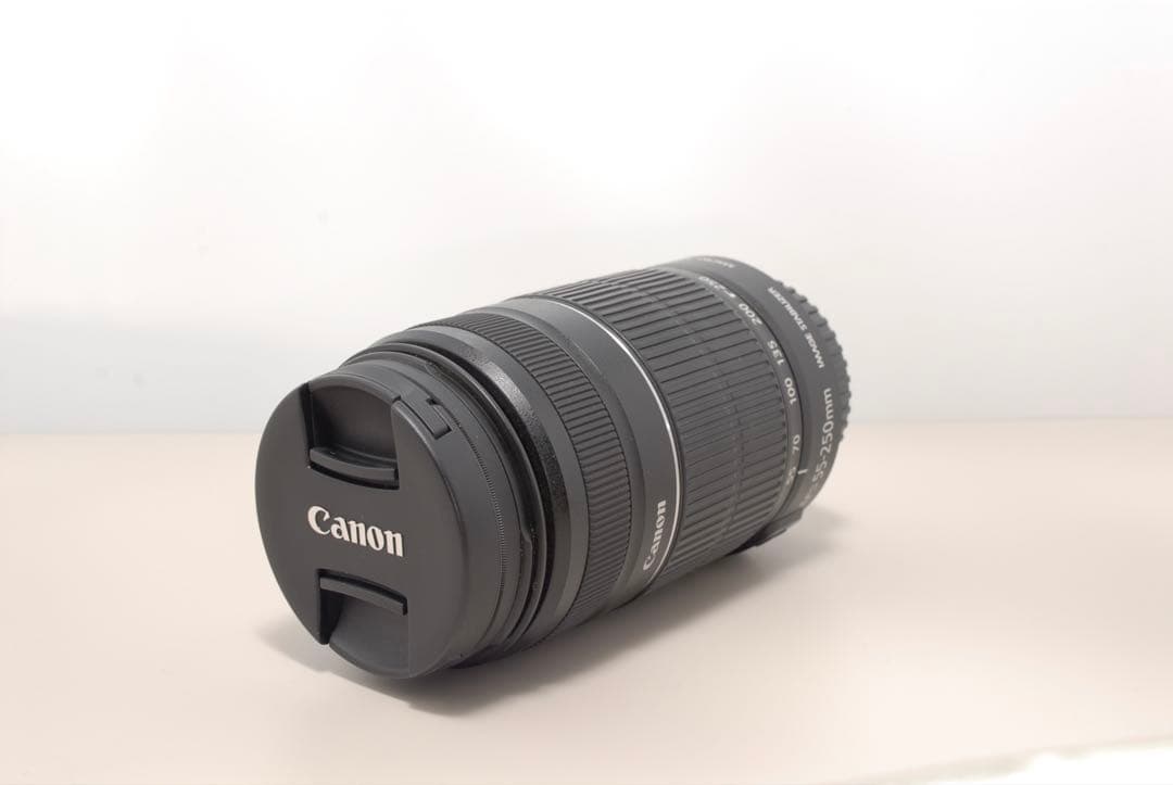 Canon EF-S 55-250 手ブレ補正