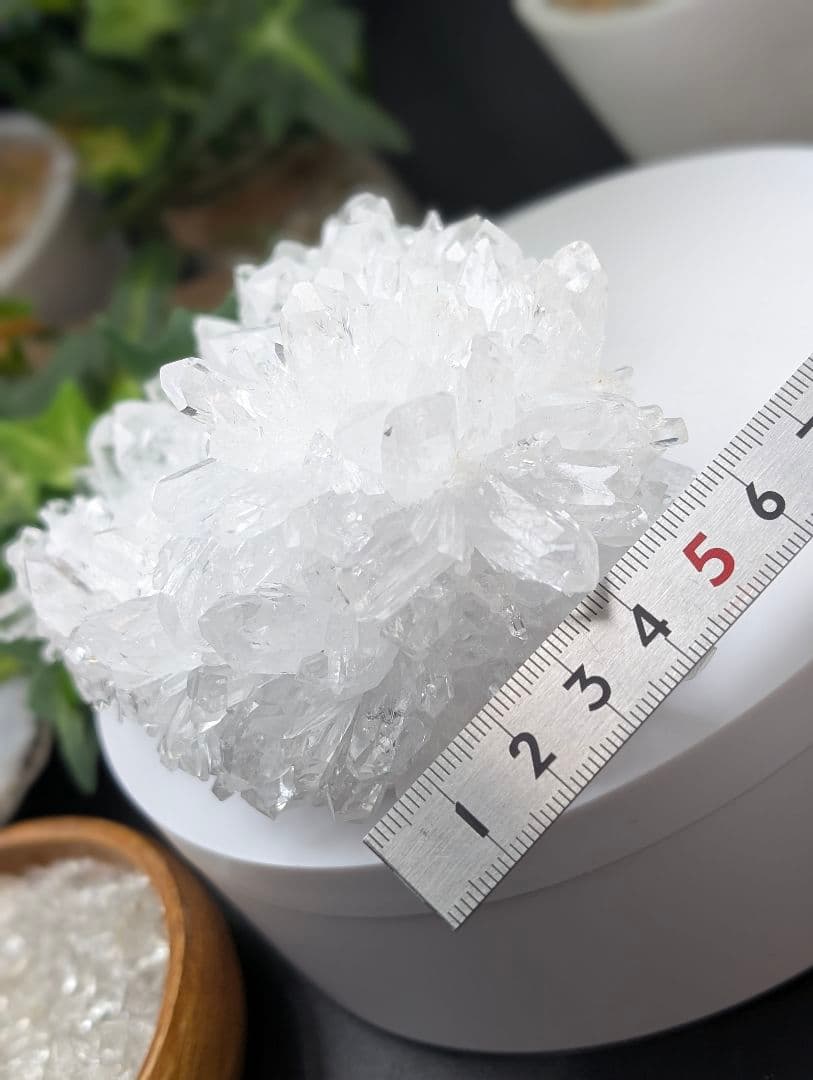 専用677g菊花水晶クラスター 淨化 天然 KK01