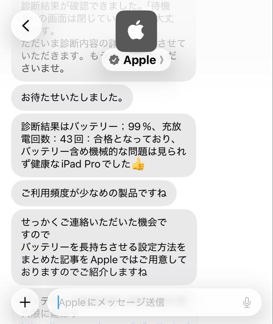 iPad Pro 第6世代 12.9インチ Cellular 512GB