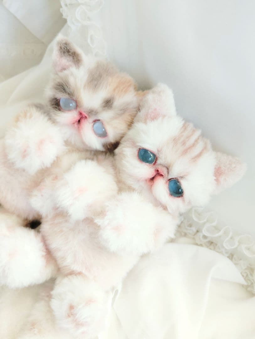 おふぅちゃん❤オーダー❤双子の子猫ちゃん♡アートドール♡ぬいぐるみ♡