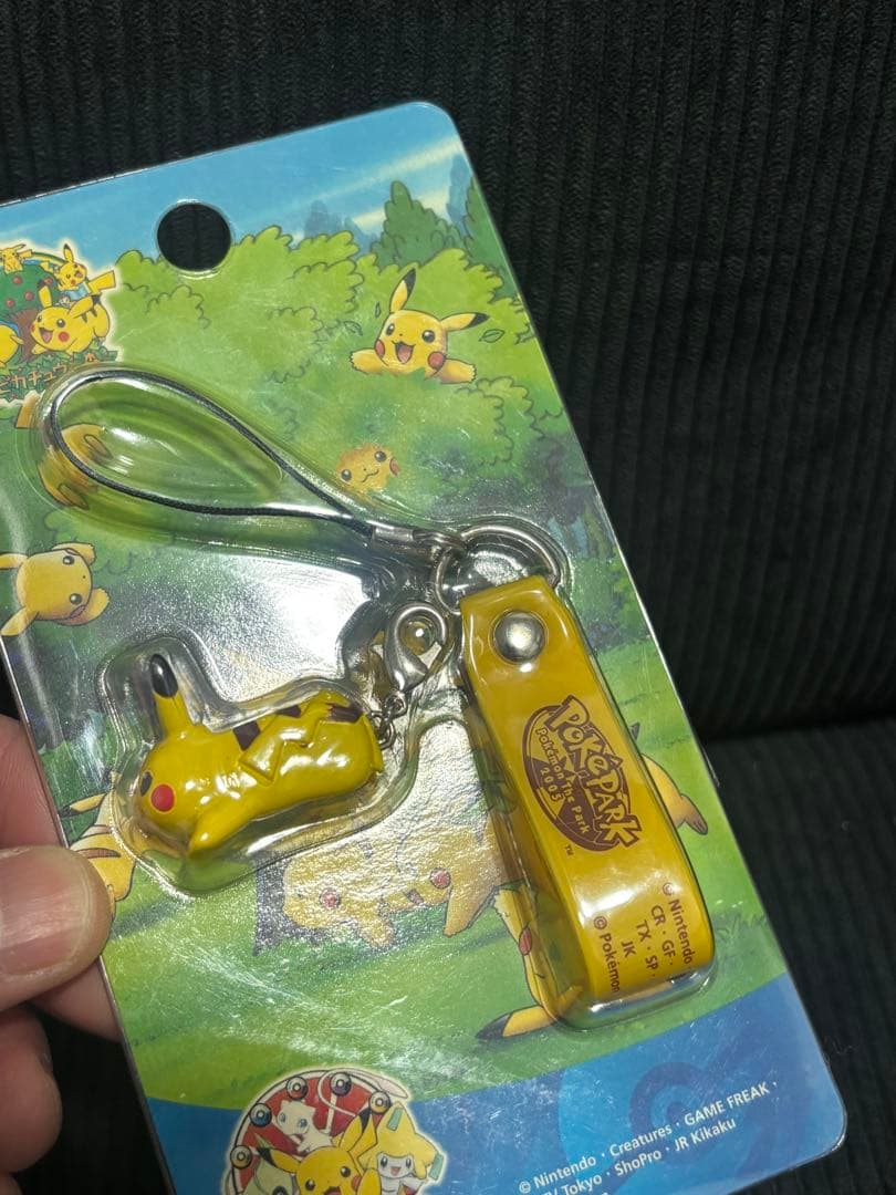 ポケパーク ピカチュウ ピカチュウの森　キーホルダー