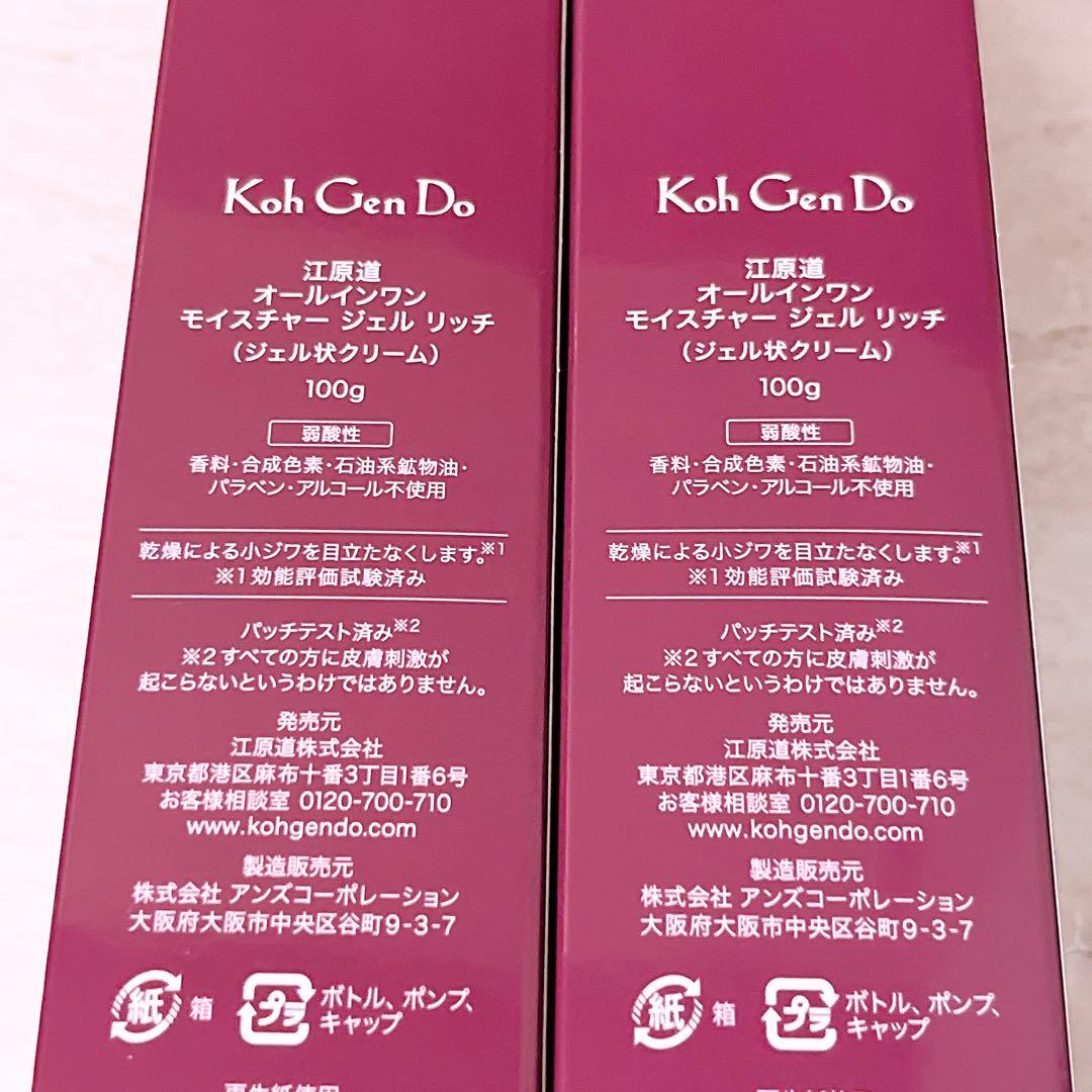 ej☆ 江原道 オールインワン モイスチャー ジェル リッチ 100g 2本