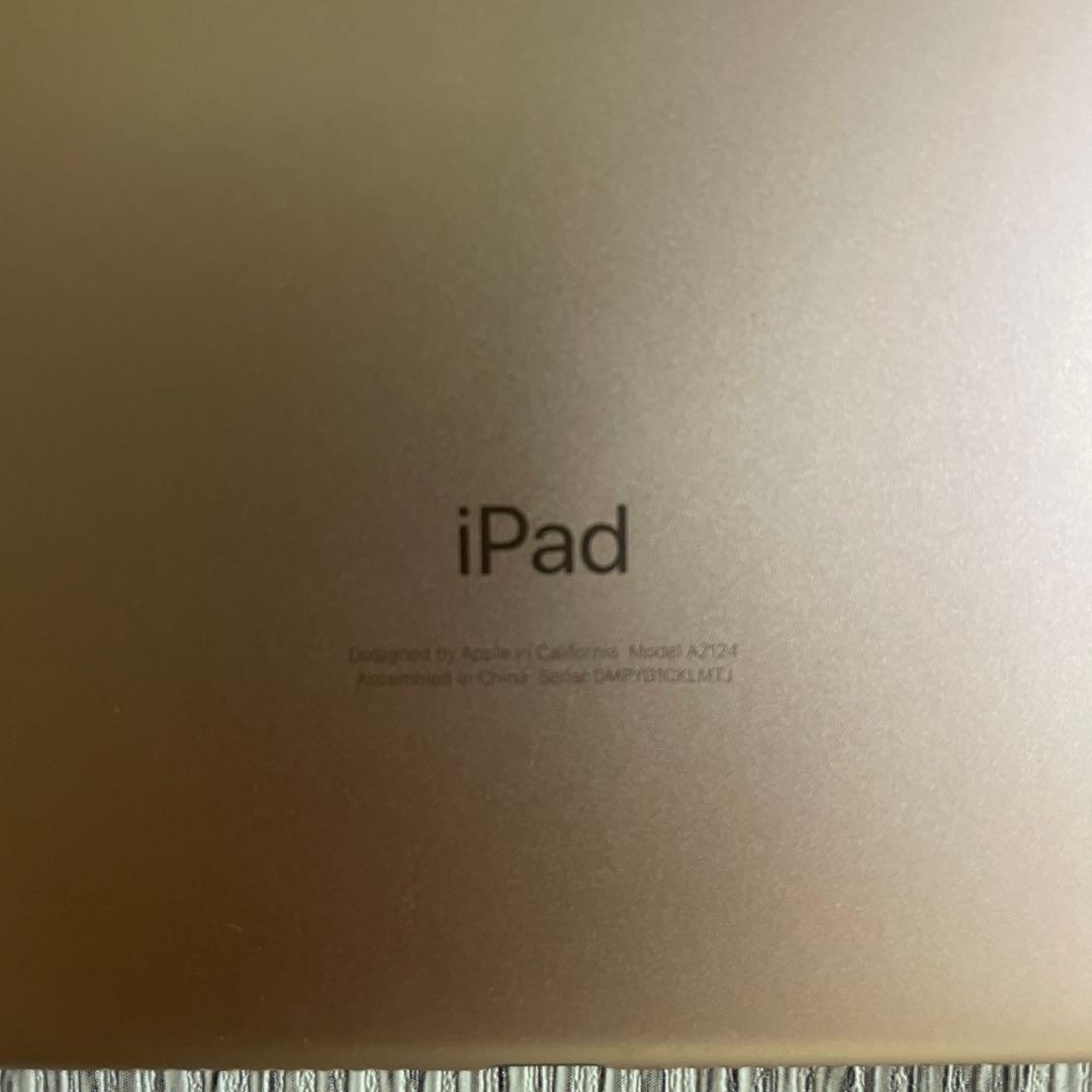 ipad mini 7.9インチ第5世代　256GB ゴールド　wifi +4G