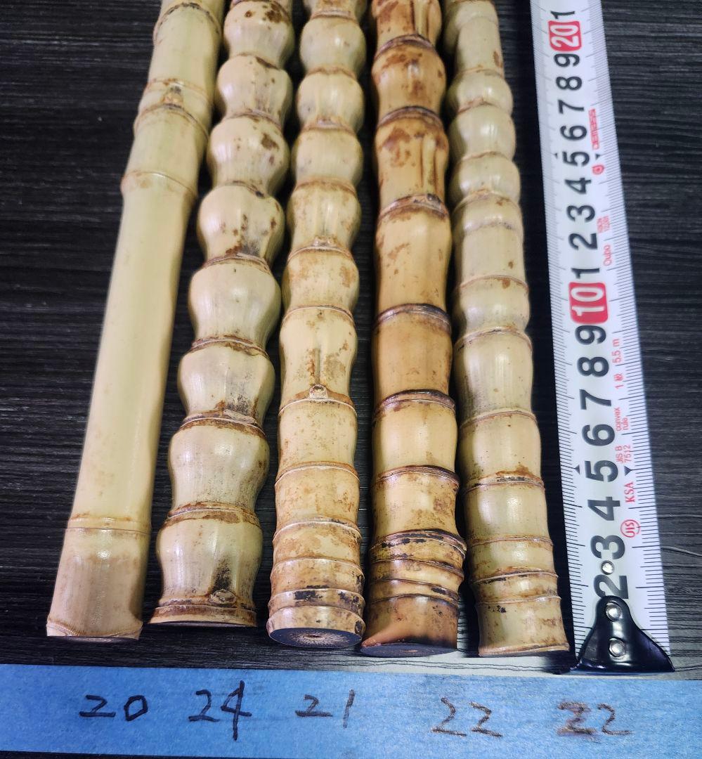 布袋竹　47cm (細)　竹素材 5本セット　①