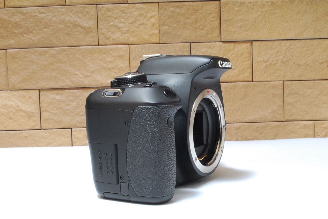 Canon Kiss X5 ダブルレンズ バッグ付き 初心者おすすめセット 美品