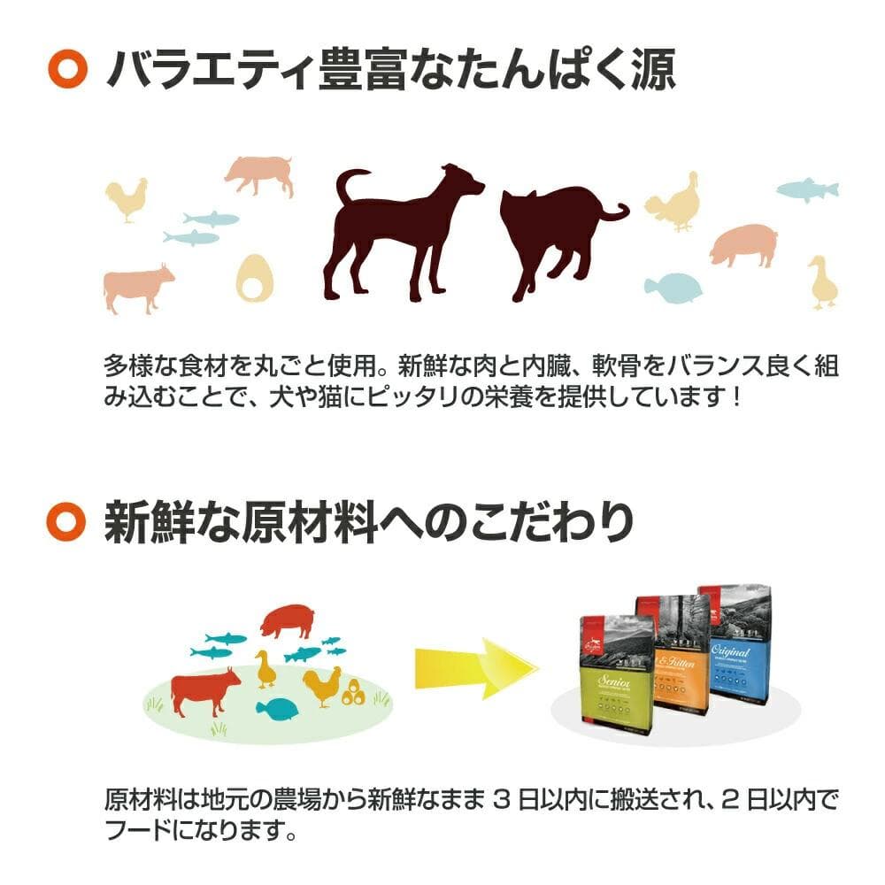 オリジン キトゥン Orijen Kitten 子猫用　ドライフード 1.8kg