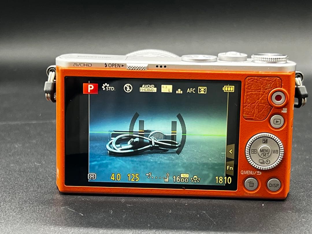 シャッター数2100 LUMIX DMC-GM1 オレンジ