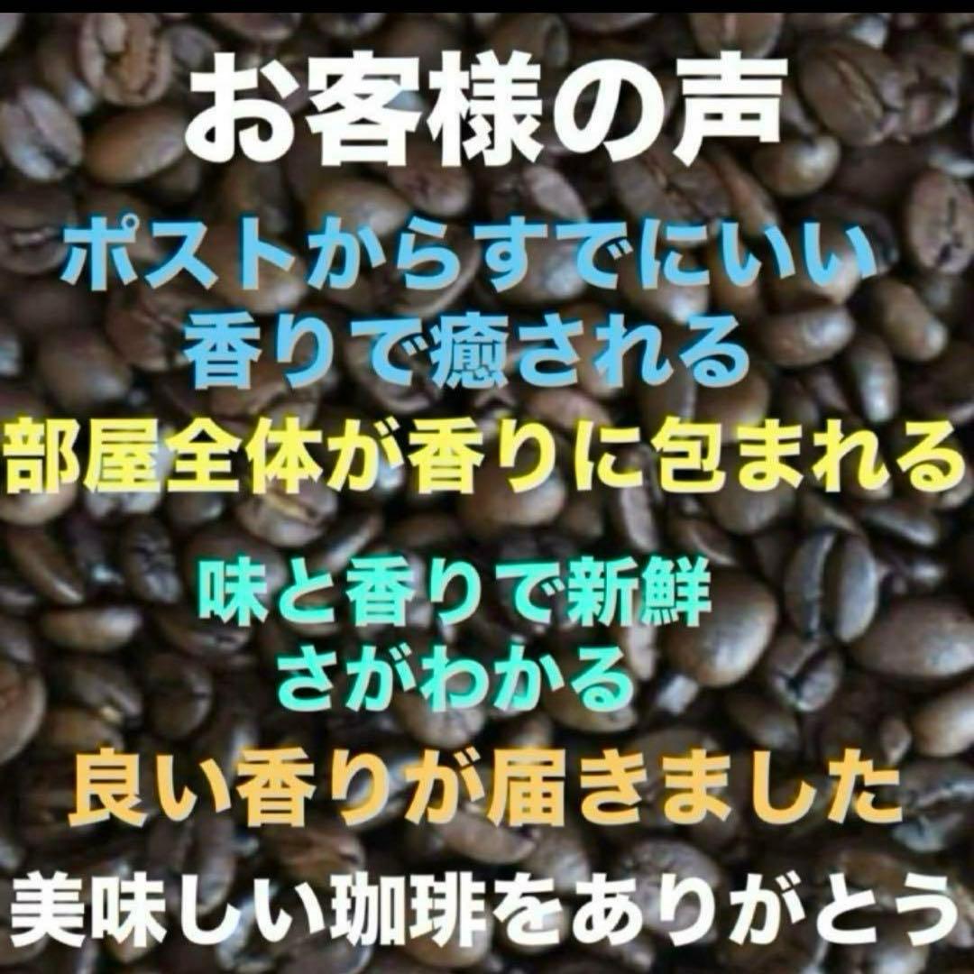 RU　ゲイシャ400g トラジャ400g 合計800g200円引き