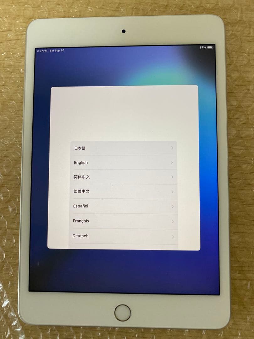 iPad mini 第5世代　64GB バッテリー良好83.5% 美品　ケース付