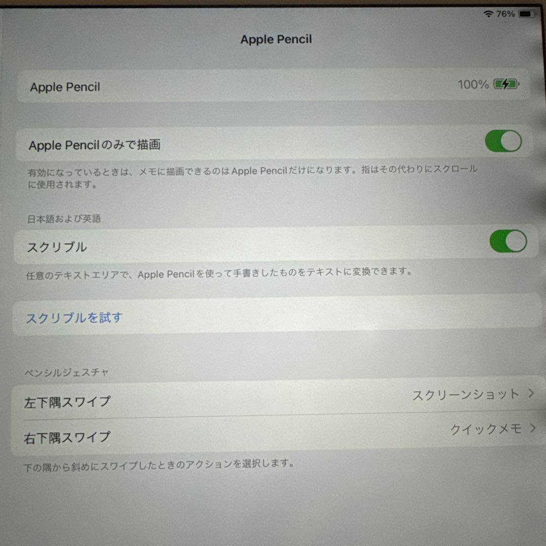 Apple Pencil (第1世代) 本体のみ