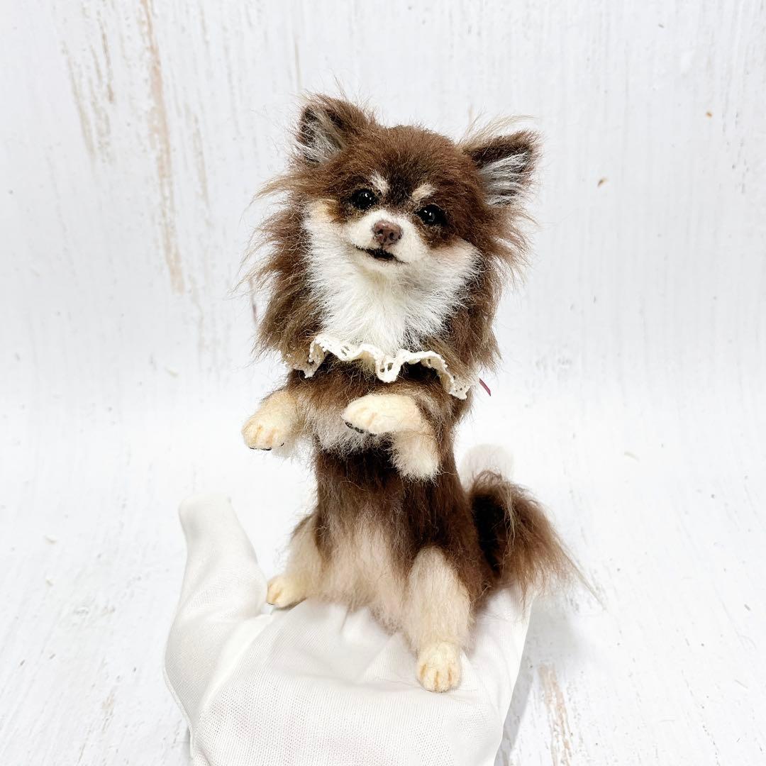 ame 羊毛フェルト 犬 チワワ チョコタンちゃん