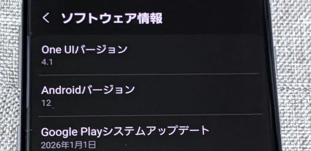 Galaxy S10　本体