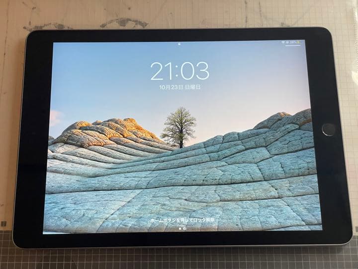 Apple iPad 第6世代 WiFiモデル 動作良好