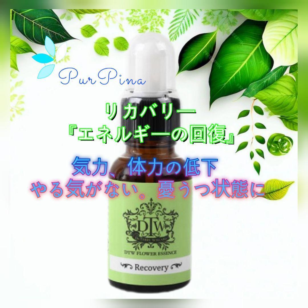 【専用】ファシネーション(Fascination) DTWフラワーエッセンス